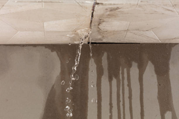Professional Burst Pipe Cleanup technician working in Norwood, NJ